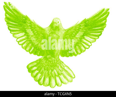 Watercolor and digital watercolor illustration of unicolor bird, pigeon in lime, green color, symbol of the Holy Spirit, isolated on white background. Stock Photo