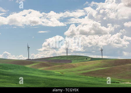 Daytime image of wind turbines in the rolling hills of the Palouse wheat farming region of Washington State USA Stock Photo