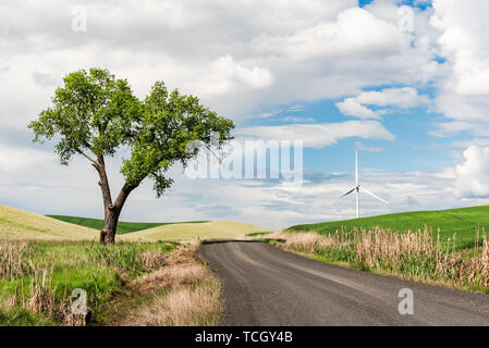 Daytime image of wind turbines in the rolling hills of the Palouse wheat farming region of Washington State USA Stock Photo