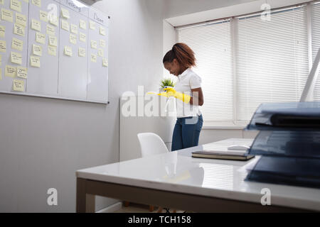 Smiling Young Woman Cleaning Furniture With Spray Bottle At Home Stock Photo