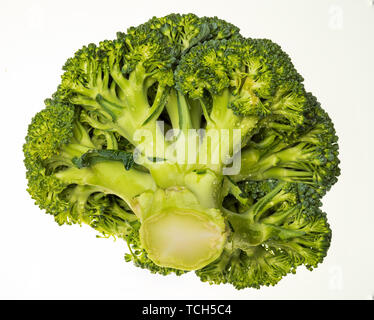 Broccoli (brocolli, brocoli, brocoli, brokoli, sprout, brassica oleracea) portion and very fresh (with water drops). Isolated on white background. Stock Photo