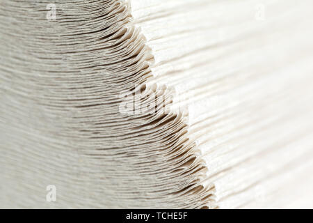 paper towels pile Stock Photo