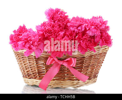 Beautiful pink carnations in basket isolated on white Stock Photo