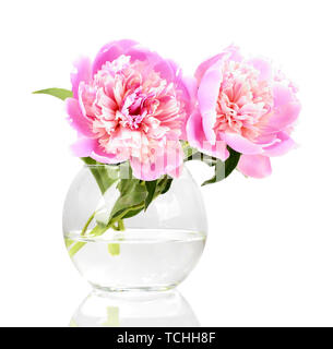 Three pink peonies in vase isolated on white Stock Photo