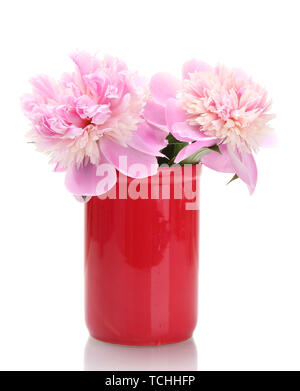 pink peonies flowers in vase isolated on white Stock Photo