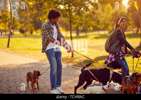 Professional Dog Walker - Happy group of dogs with couple dog walker enjoying in walk city. Stock Photo