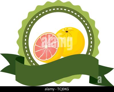 tropical fruits design Stock Vector