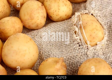 potatoes in a torn sack close-up Stock Photo