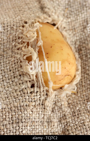 potatoes in a torn sack close-up Stock Photo