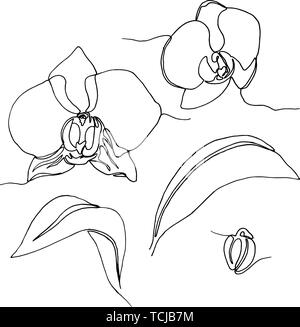 monochrome set of hand drawn orchid flowers and leaves, one single line drawing. isolated on white background. Stock vector illustration. Stock Vector