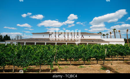 Azeitao, Lisbon, Portugal - June 7, 2019: Bacalhoa vineyard at Azeitao in the Setubal region, Portugal famous for its Moscatel wine Stock Photo