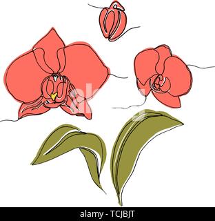 set of hand drawn orchid flowers and leaves, one single line drawing. isolated on white background. Stock vector illustration. Stock Vector