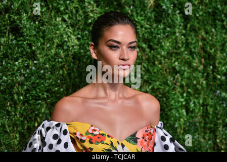 15th Annual CFDA Vogue Fashion Fund Awards, Arrivals, New York, USA - 05 Nov 2018 - Shanina Shaik Stock Photo