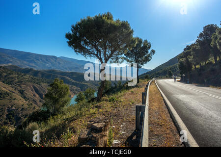 Cyclist riding a road bike towards Orgiva on the beautiful A-346 road north past Guadalfeo/Rules Reservoir Stock Photo