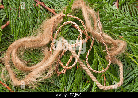 Handmade cordage / twine from the inner bark of a Western Red Cedar tree, lying on Western Red Cedar branchlets. Stock Photo