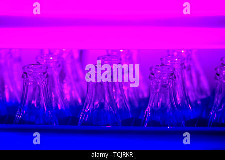 Neon colored Plastic Crate with Empty Glass Bottles. Horizontal filtered shot Stock Photo