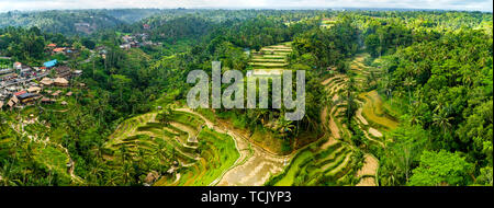 Aerial View of Tegallalang Bali Rice Terraces. Panorama. Stock Photo