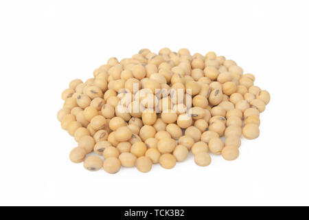 Soybeans isolated on white background with clipping path. Stock Photo