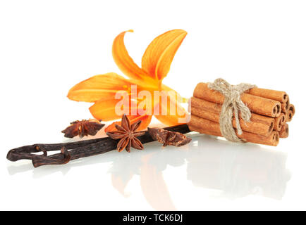 Vanilla pods with spices isolated on white Stock Photo