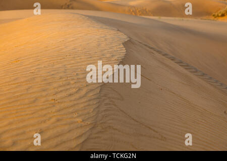 Sand dunes at sunset India Stock Photo