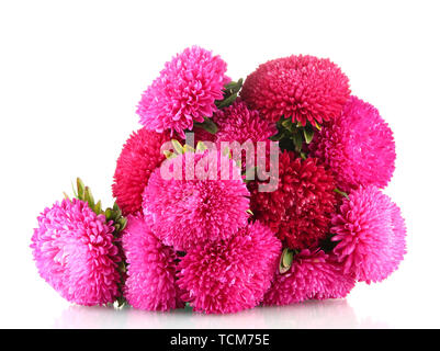 pink aster flowers, isolated on white Stock Photo