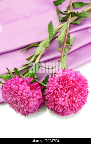 beautiful aster flowers, on silk background Stock Photo