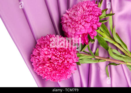 beautiful aster flowers, on silk background Stock Photo