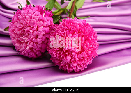 beautiful aster flowers, on silk background Stock Photo