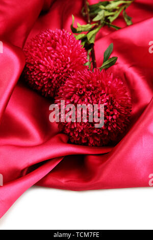 beautiful aster flowers, on silk background Stock Photo