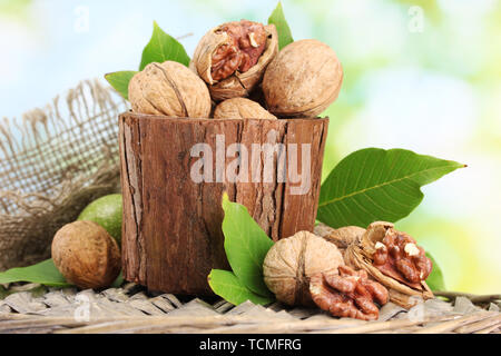 walnuts with green leaves in garden, on green background Stock Photo