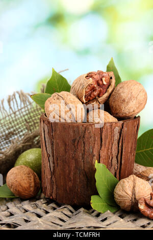 walnuts with green leaves in garden, on green background Stock Photo