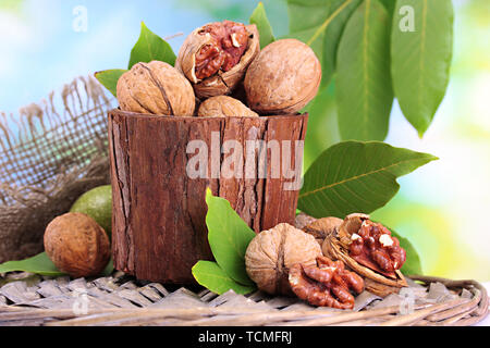 walnuts with green leaves in garden, on green background Stock Photo