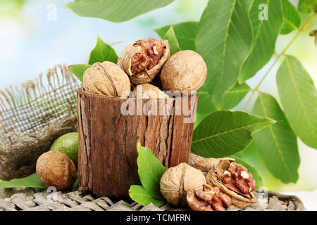 walnuts with green leaves in garden, on green background Stock Photo