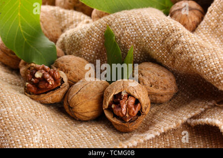 walnuts with green leaves, on burlap background Stock Photo