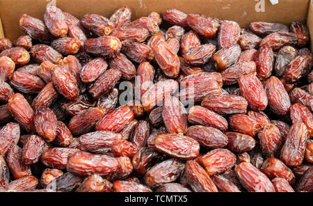 Rich and healthy dates palm fruits of Arab origin Stock Photo