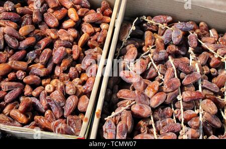 Rich and healthy dates palm fruits of Arab origin Stock Photo