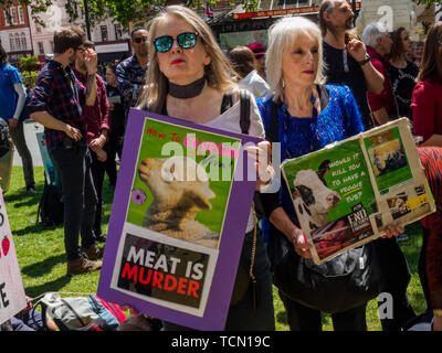 London, UK. 8th June 2019. Vegans meet in Leicester Square and after a speech by a vegan activist who reminded them of the great increase in support for veganism marched n London calling for an end to the breeding, fishing and slaughter of animals. They shouting for an end to the killing of animals who they say have feel pain and love their young and want to live 'just like us' and handing out leaflets to people on the busy shopping streets. They stopped in Soho Square for more speeches, including by Vanessa Hudson from The Animal Welfare Party, before continuing to march around the West End s Stock Photo