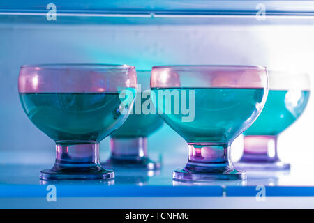 purple dishes with green woodruff jelly in a fridge Stock Photo