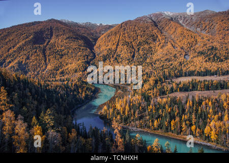 A river in the golden forest of autumn. Stock Photo