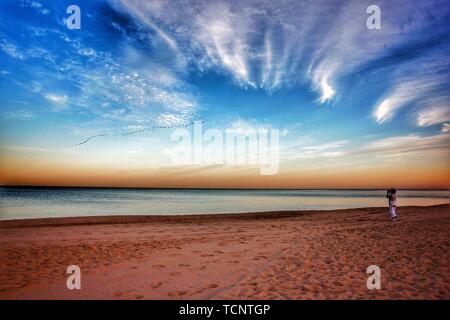 Sunset beach, geese fly south Stock Photo