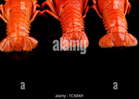 crayfish tailes isolated on black Stock Photo