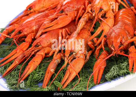 Tasty boiled crayfishes with fennel on plate close-up Stock Photo
