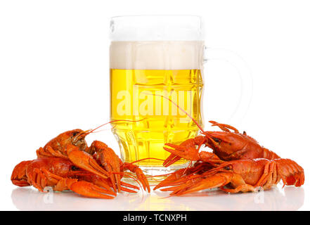 Tasty boiled crayfishes and beer isolated on white Stock Photo