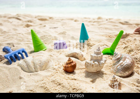 Plastic Toys And Seashells On Sand At Beach Stock Photo