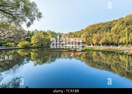 Autumn China Fushun early morning park pond willow rockery ancient architecture Stock Photo