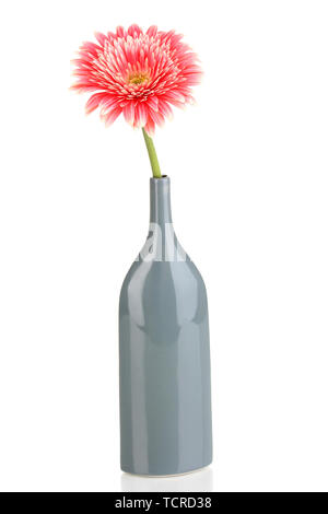 Beautiful gerbera in vase isolated on white Stock Photo