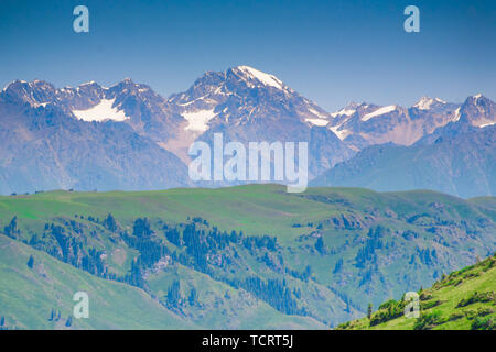 In the middle of summer, the alpine meadows and snowy mountains in the depths of Tianshan Mountain Stock Photo