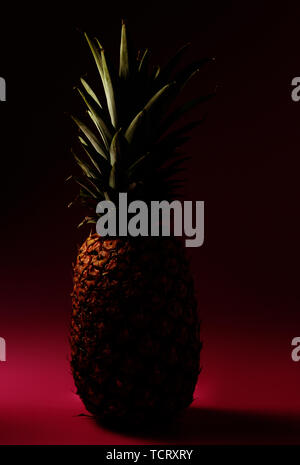 pineapple on pink background in dark manner Stock Photo