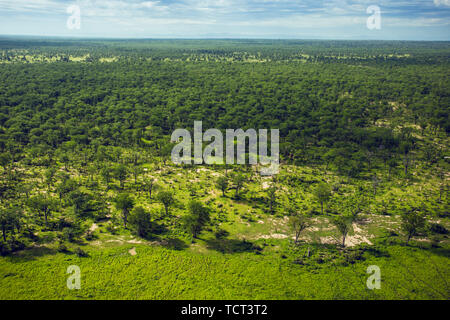 Africa, Zimbabwe, animals, nature pristine, Zambezi river, panorama, night view, starry sky, bonfire, burning clouds, aerial photography, mana photography, forest, sunset, silhouette, adventure, adventure Stock Photo