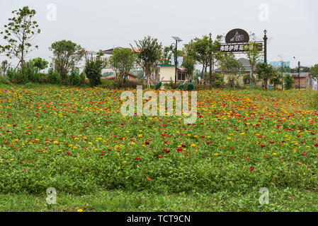 The scenery of Hua Bo Hui in Wuhan Stock Photo